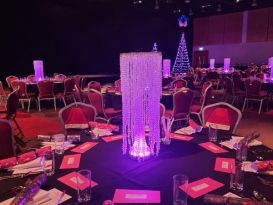 Telford international chandeliers pink