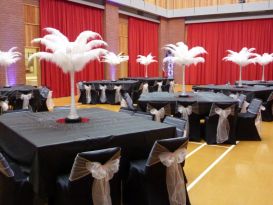 feathers black chaircovers worcester
