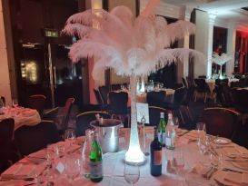 ostrich feather displays MULS