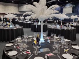 white ostrich feather displays manchester central