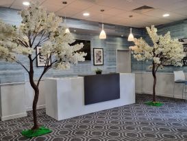 blossom trees