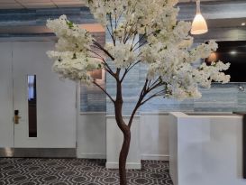 blossom trees