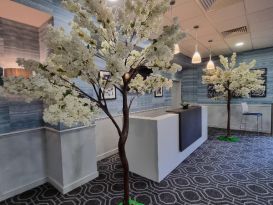 blossom trees
