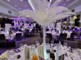 bristollife ostrich feather table centrepiece