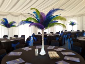 feather centrepieces bedford college