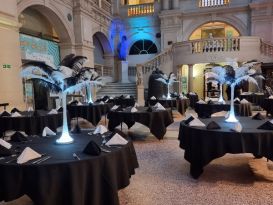 feathers bristol museum