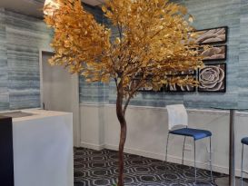 gold leaf trees