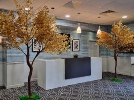 gold leaf trees