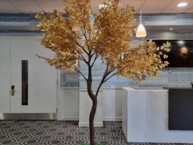 gold leaf trees
