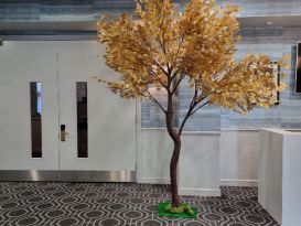 gold leaf trees