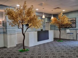 gold leaf trees