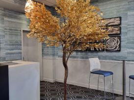 gold leaf trees