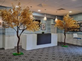 gold leaf trees