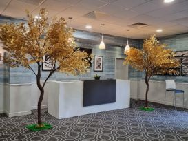 gold leaf trees