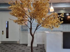 gold leaf trees