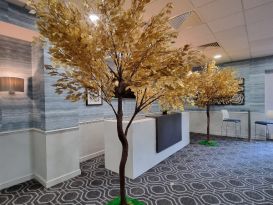 gold leaf trees