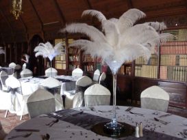 martini feathers ettington