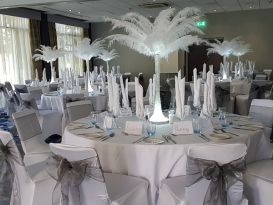 novotel feathers