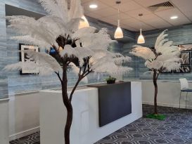 ostrich feather trees
