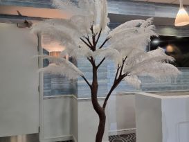 ostrich feather trees