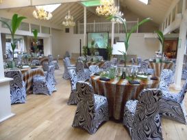 safari chair covers