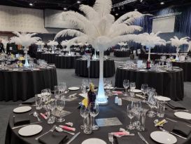 white ostrich feather displays manchester central