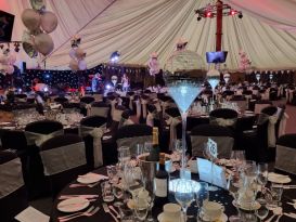 worcestershire ambassadors ball treetops event